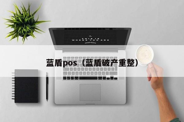 蓝盾pos（蓝盾破产重整）