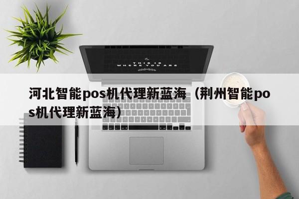 河北智能pos机代理新蓝海（荆州智能pos机代理新蓝海）