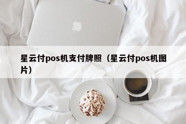 星云付pos机支付牌照（星云付pos机图片）