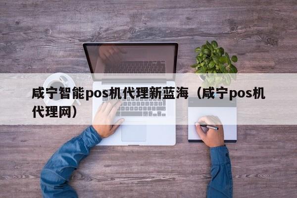 咸宁智能pos机代理新蓝海（咸宁pos机代理网）