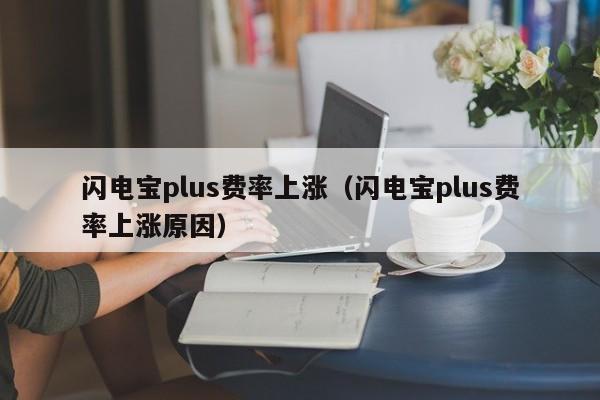 闪电宝plus费率上涨（闪电宝plus费率上涨原因）