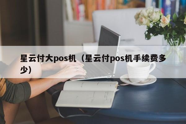星云付大pos机（星云付pos机手续费多少）