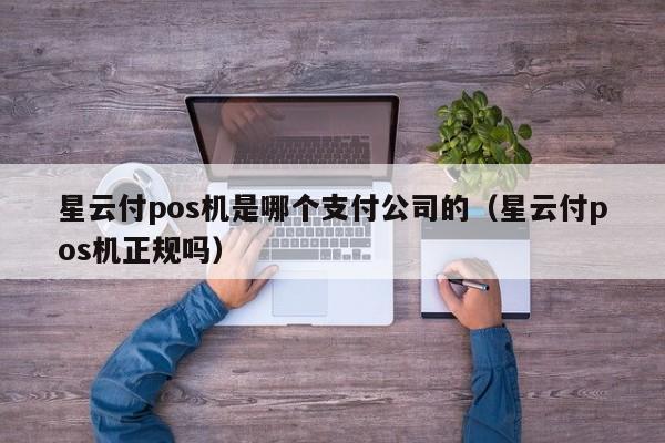 星云付pos机是哪个支付公司的（星云付pos机正规吗）
