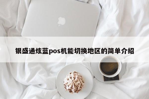 银盛通炫蓝pos机能切换地区的简单介绍