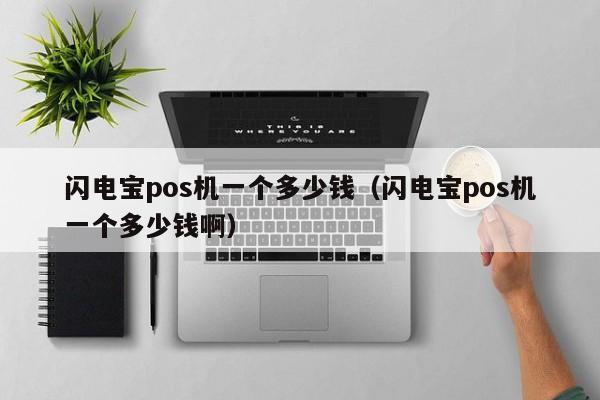 闪电宝pos机一个多少钱（闪电宝pos机一个多少钱啊）