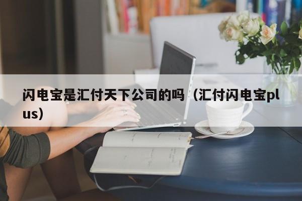 闪电宝是汇付天下公司的吗（汇付闪电宝plus）