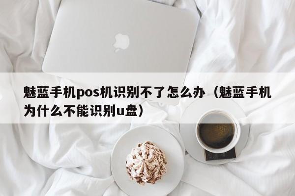 魅蓝手机pos机识别不了怎么办（魅蓝手机为什么不能识别u盘）