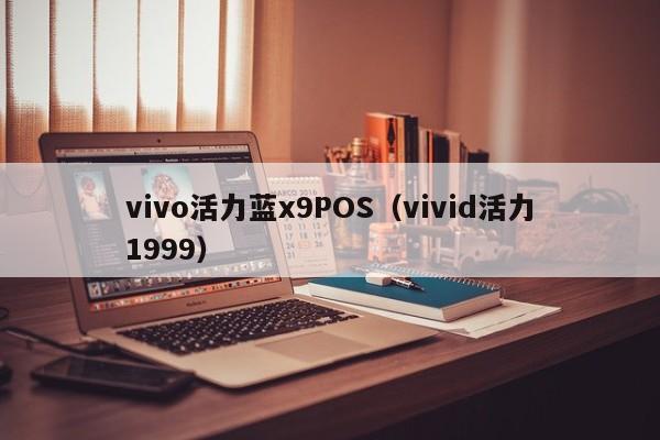 vivo活力蓝x9POS（vivid活力1999）