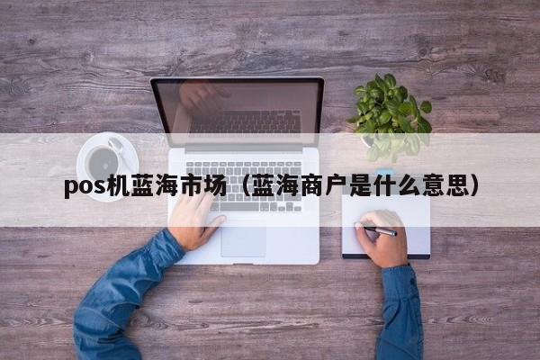 pos机蓝海市场（蓝海商户是什么意思）