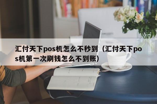 汇付天下pos机怎么不秒到（汇付天下pos机第一次刷钱怎么不到账）