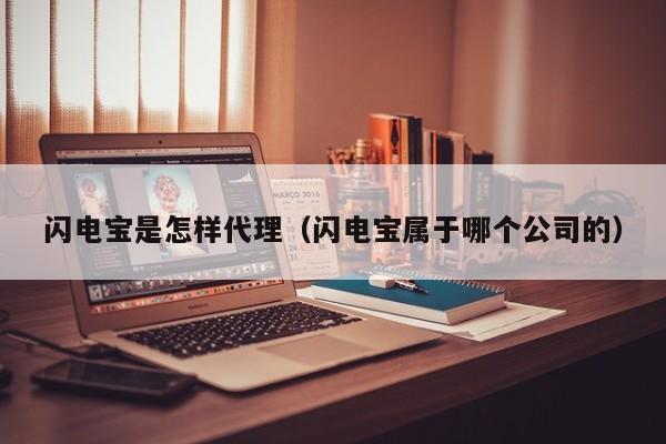闪电宝是怎样代理（闪电宝属于哪个公司的）