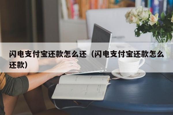 闪电支付宝还款怎么还（闪电支付宝还款怎么还款）