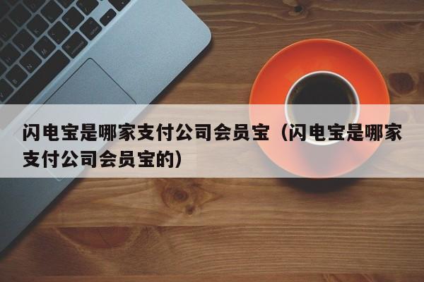 闪电宝是哪家支付公司会员宝（闪电宝是哪家支付公司会员宝的）