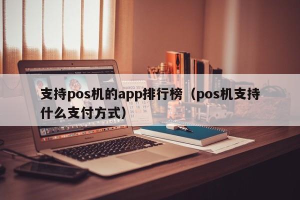 支持pos机的app排行榜（pos机支持什么支付方式）