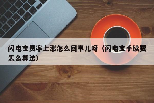 闪电宝费率上涨怎么回事儿呀（闪电宝手续费怎么算法）