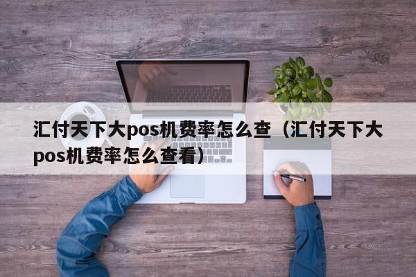 汇付天下大pos机费率怎么查（汇付天下大pos机费率怎么查看）