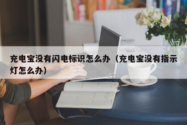 充电宝没有闪电标识怎么办（充电宝没有指示灯怎么办）