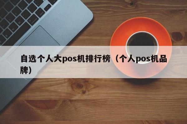 自选个人大pos机排行榜（个人pos机品牌）