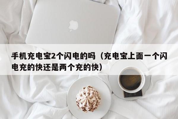 手机充电宝2个闪电的吗（充电宝上面一个闪电充的快还是两个充的快）