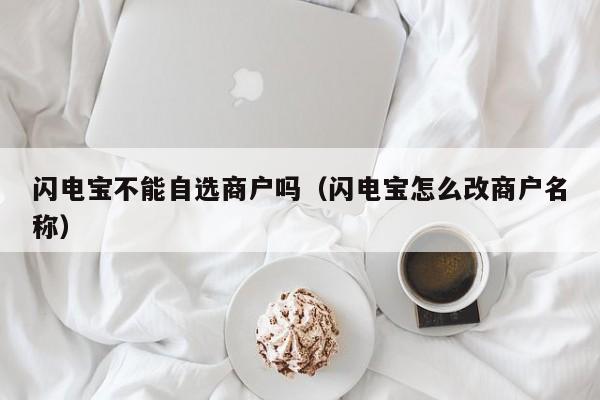 闪电宝不能自选商户吗（闪电宝怎么改商户名称）
