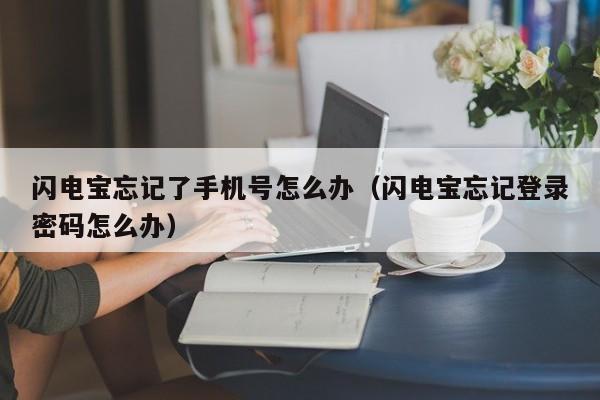 闪电宝忘记了手机号怎么办（闪电宝忘记登录密码怎么办）