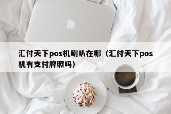 汇付天下pos机喇叭在哪（汇付天下pos机有支付牌照吗）