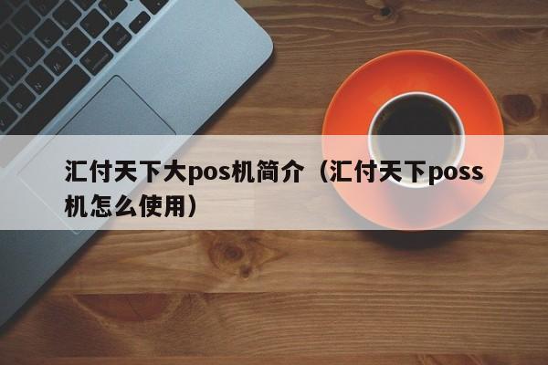 汇付天下大pos机简介（汇付天下poss机怎么使用）