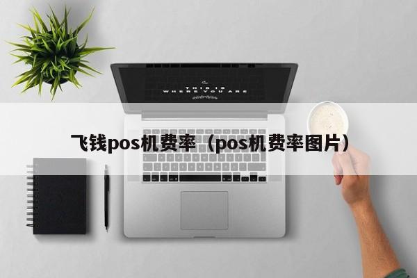 飞钱pos机费率（pos机费率图片）