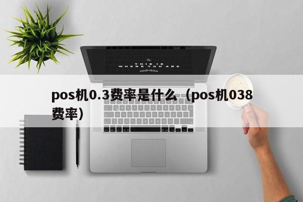 pos机0.3费率是什么（pos机038费率）