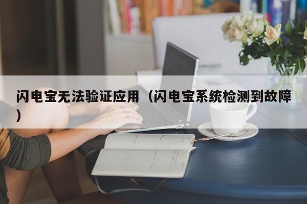 闪电宝无法验证应用（闪电宝系统检测到故障）