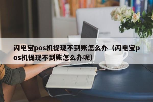 闪电宝pos机提现不到账怎么办（闪电宝pos机提现不到账怎么办呢）