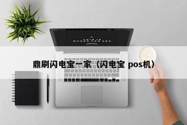 鼎刷闪电宝一家（闪电宝 pos机）