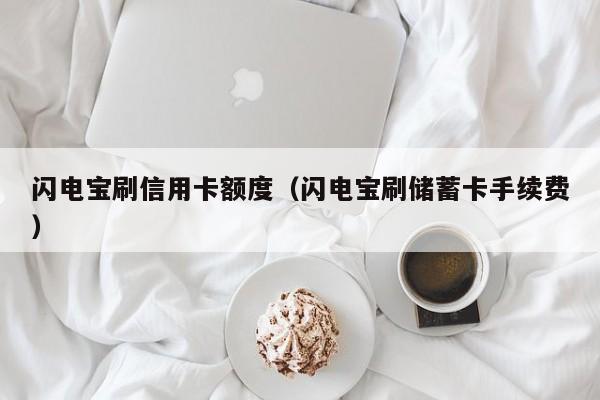 闪电宝刷信用卡额度（闪电宝刷储蓄卡手续费）