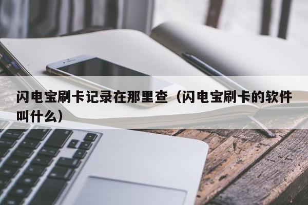 闪电宝刷卡记录在那里查（闪电宝刷卡的软件叫什么）