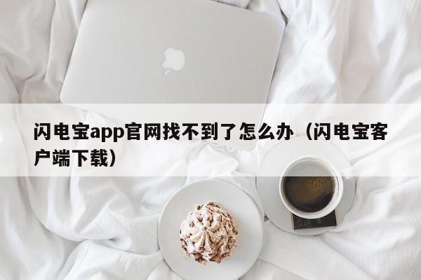 闪电宝app官网找不到了怎么办（闪电宝客户端下载）