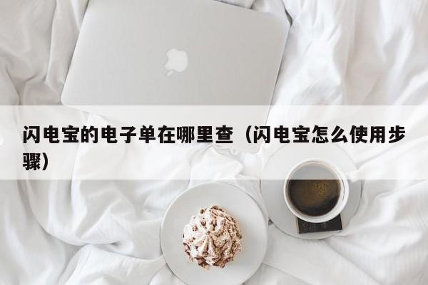 闪电宝的电子单在哪里查（闪电宝怎么使用步骤）