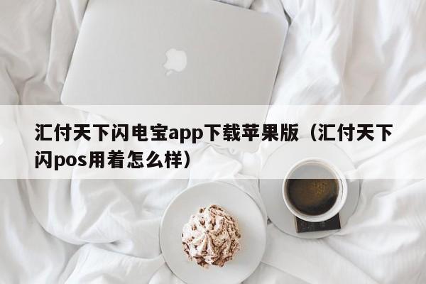 汇付天下闪电宝app下载苹果版（汇付天下闪pos用着怎么样）