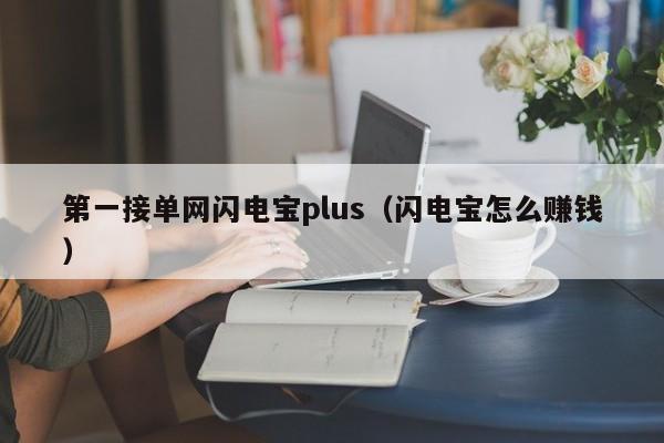 第一接单网闪电宝plus（闪电宝怎么赚钱）