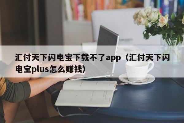 汇付天下闪电宝下载不了app（汇付天下闪电宝plus怎么赚钱）