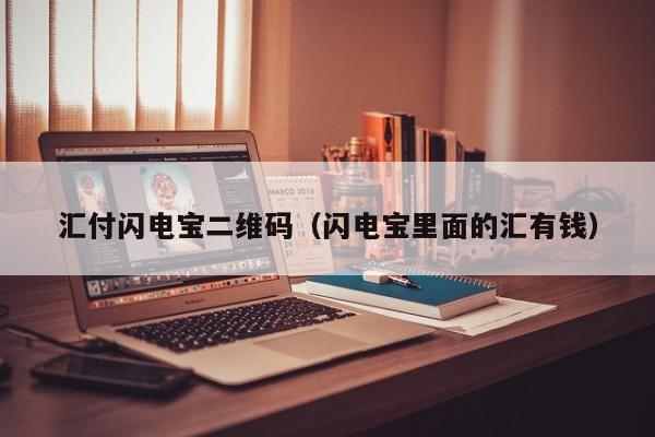 汇付闪电宝二维码（闪电宝里面的汇有钱）