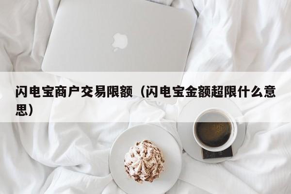 闪电宝商户交易限额（闪电宝金额超限什么意思）