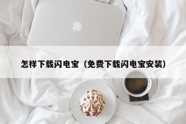 怎样下载闪电宝（免费下载闪电宝安装）